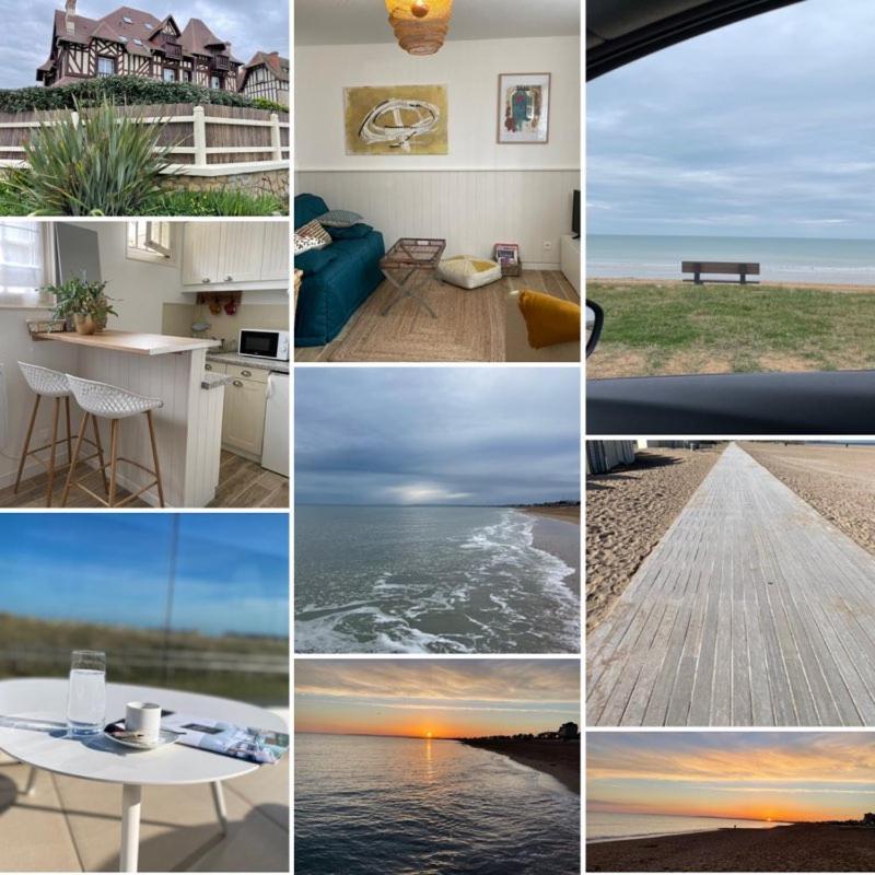 Seashore Hideaway Apartment